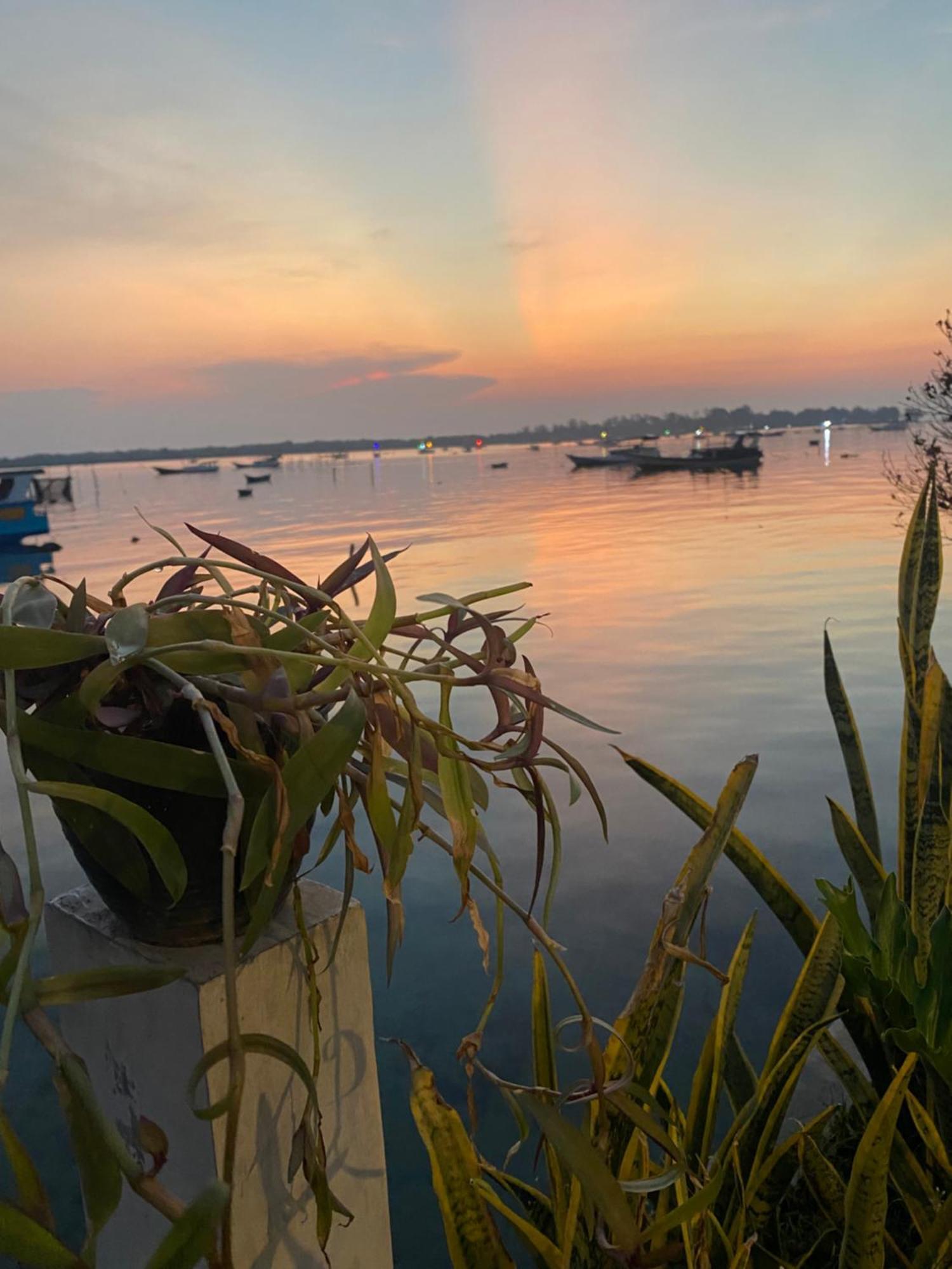 Js House View Pansiyon Karimunjawa Dış mekan fotoğraf